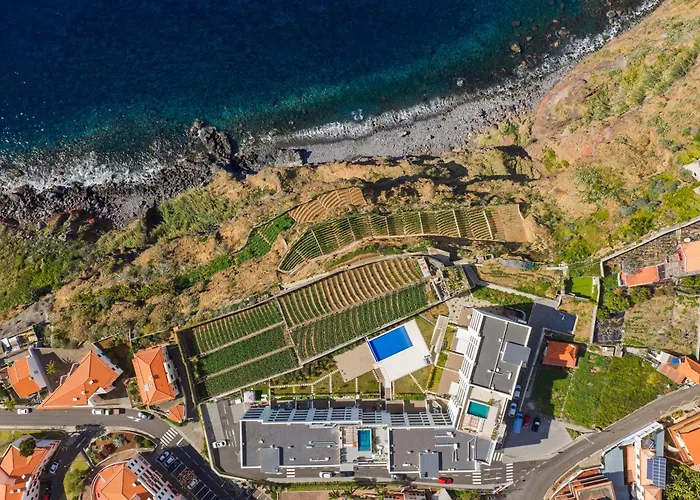 Atlantic Nest By Madeira